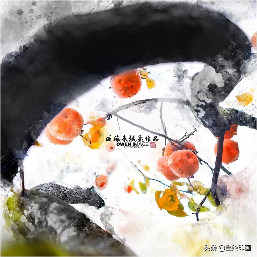 又到一年好“柿”节！拍好这深秋的“红灯笼”