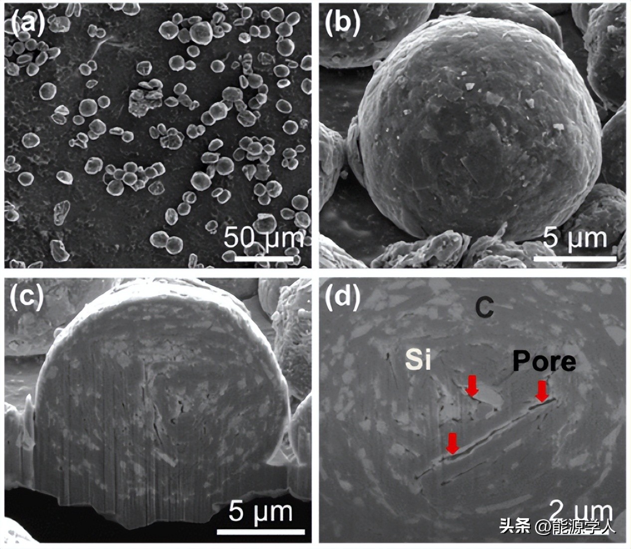 The Big Role Of Small Pores Deciphering The Role Of Nanopores In The