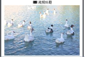 最强风口！“碳中和”有哪些赚钱机会？（附视频）