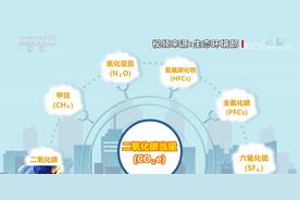 科普｜碳排放峰值越高越好吗？什么是碳达峰、碳中和？