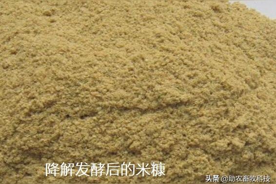 吃米糠的好处和坏处？