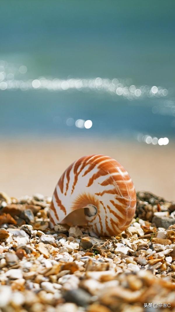 6205345905_d59a564256-160x160