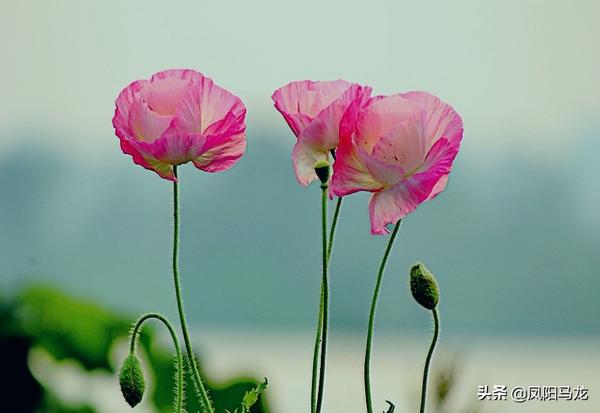 6205345905_d59a564256-160x160
