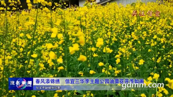 荔枝主题制作图片（荔枝主题制作图片简单）