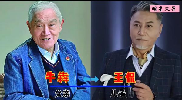 内地明星排行榜男（内地男明星排行榜2021）