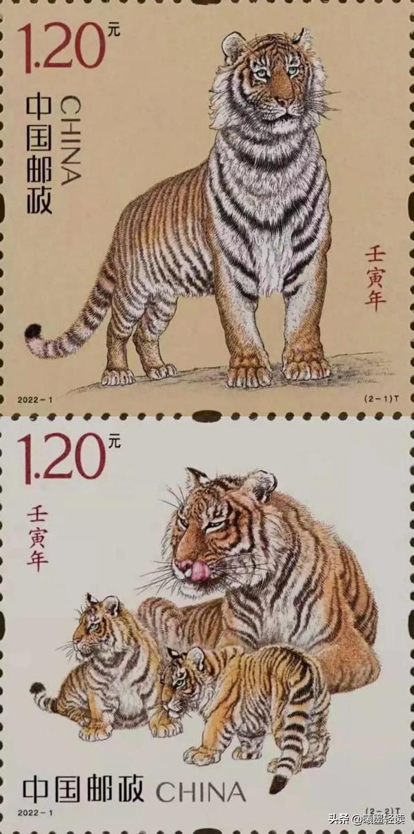 三虎不吉祥什么说法（几月份的老虎最好命）