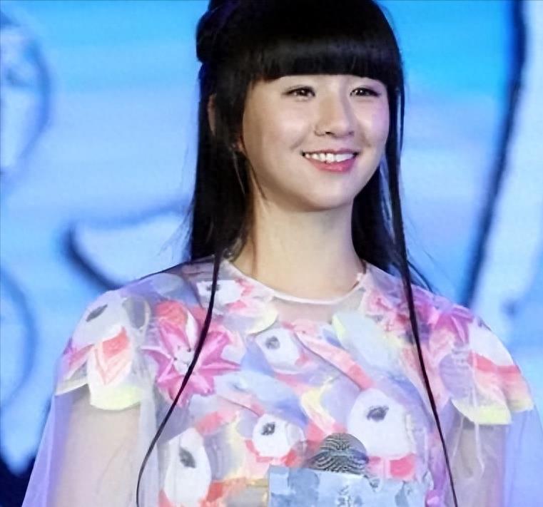 At the 2014 Spring Festival Gala, Feng Xiaogang made the colorful flag