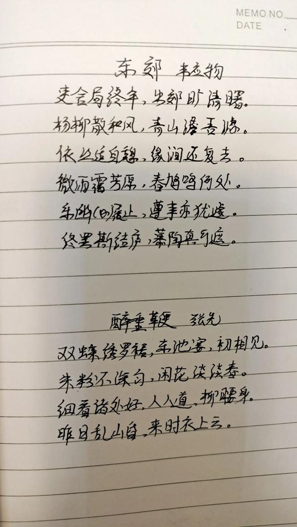 丁卯兔一生的命运如何（丁卯兔一生的命运如何啊）