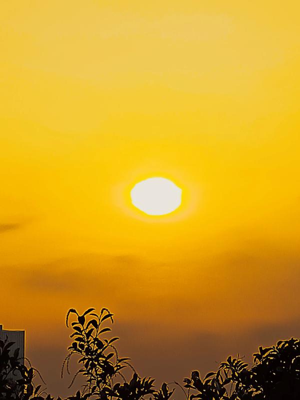 6205345905_d59a564256-160x160