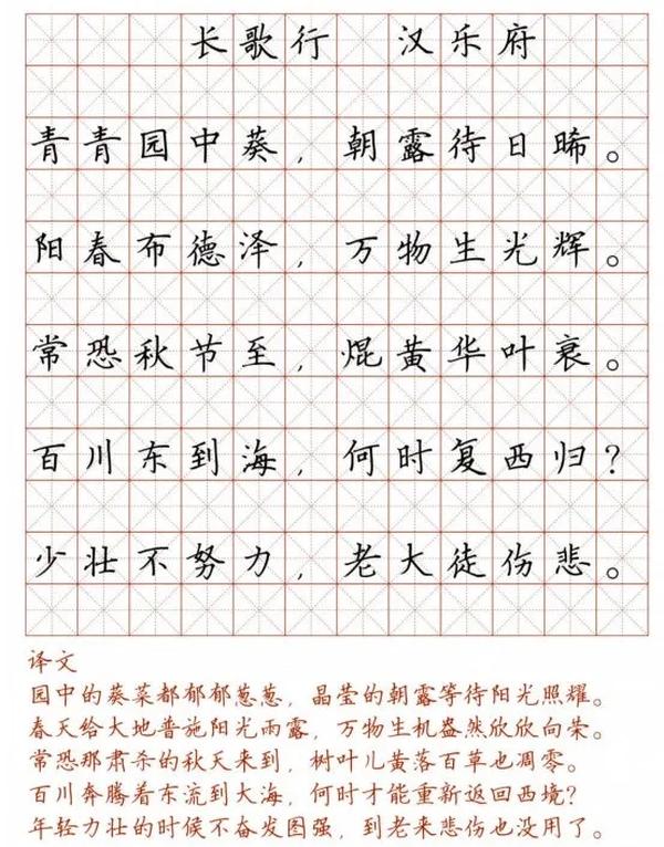 120字硬笔书法作品（110个字的硬笔书法作品）