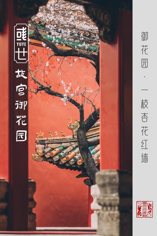 故宫里面的御花园的景色（故宫里面的御花园的景色是什么）