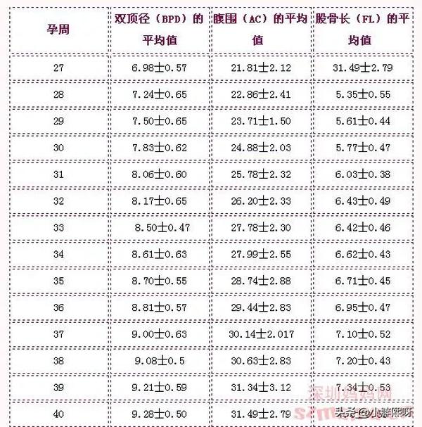 南京月嫂公司排名前十名（南京月嫂公司排名前十名地址）