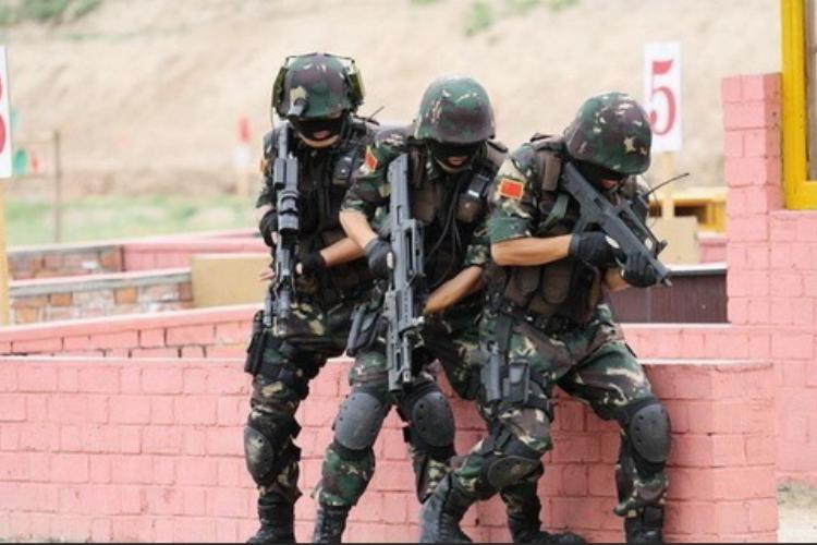 China's Sirius Commandos: The Rise of the Global Land Combat Overlord ...