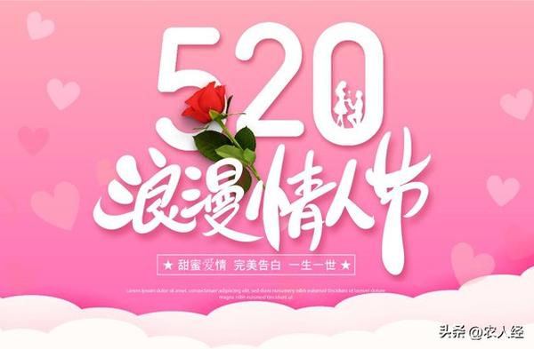 希望你也能拥有520,原本只是一串普普通通的数字,是519与521之间的