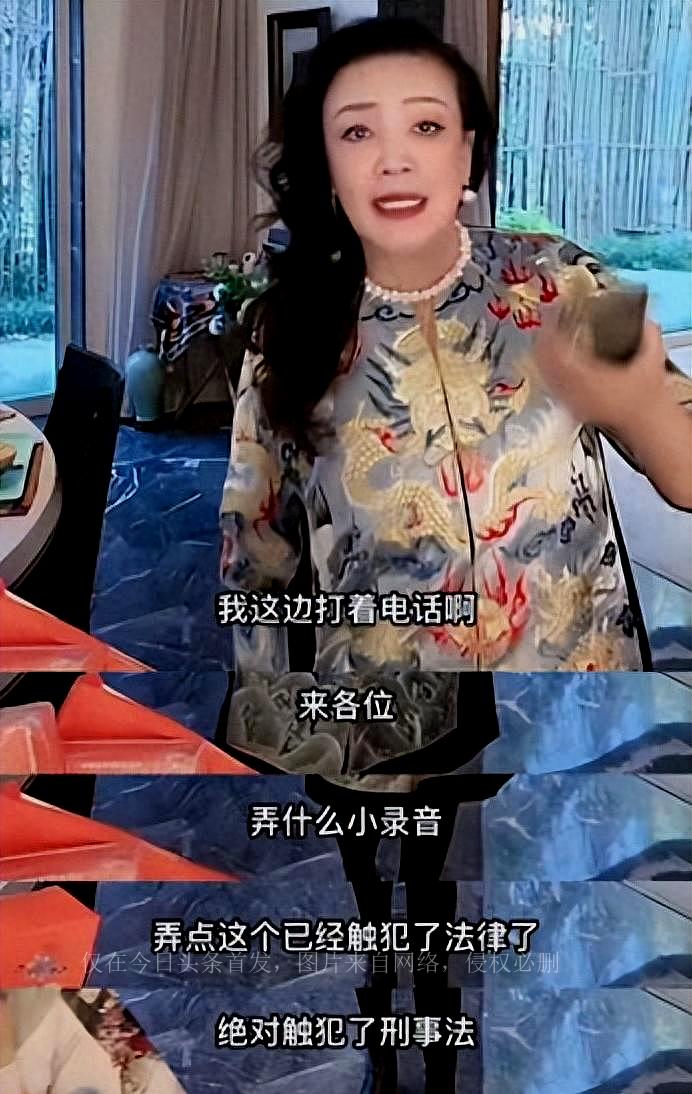 Zhang Lan's acting style? People scolded Zhang Yingying for being