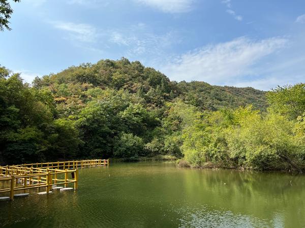 但經不住漢江兩岸美景的誘惑,還是來到丹江口市壩下溼地公園,徙步從