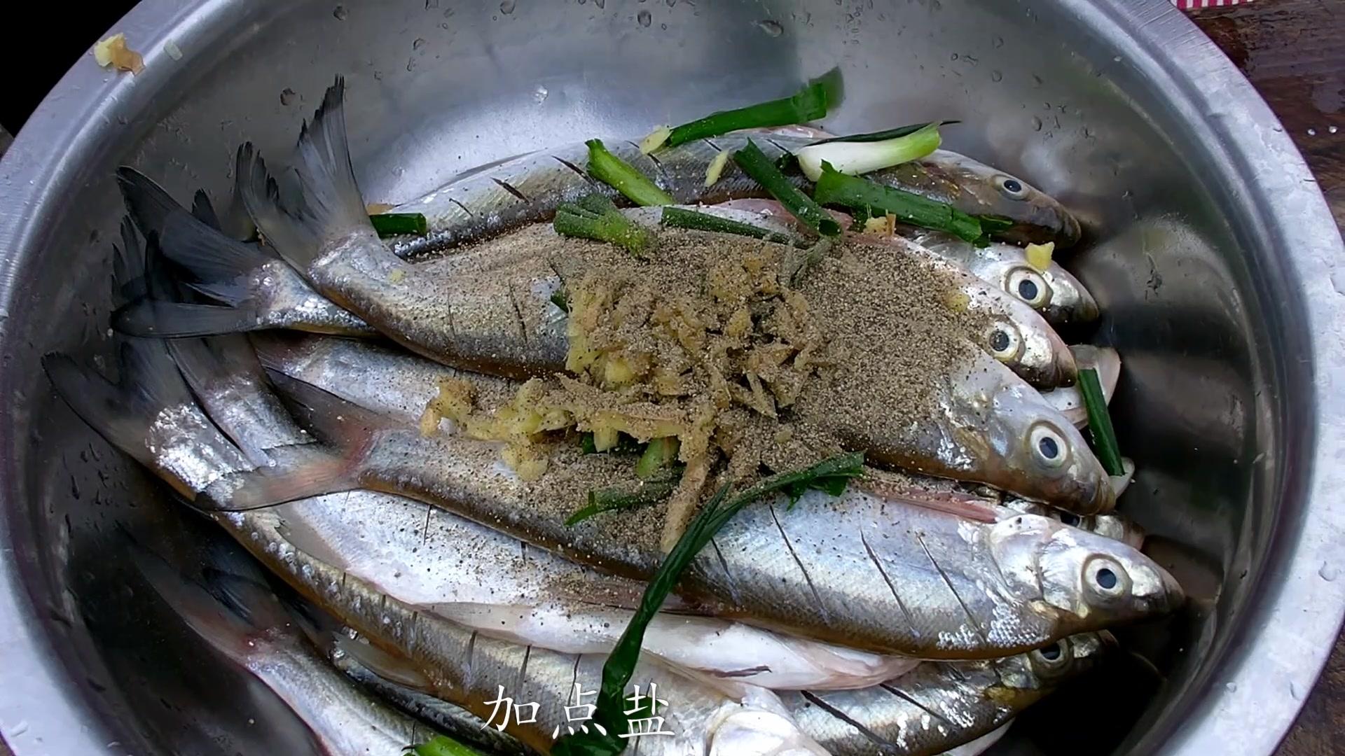 淮河里生长的噘嘴鲢鱼,肉质鲜美.腌制后油炸吃真香,好吃到鱼刺都不剩.