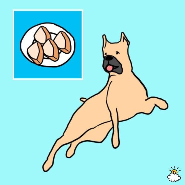 狗狗能吃椰子吗