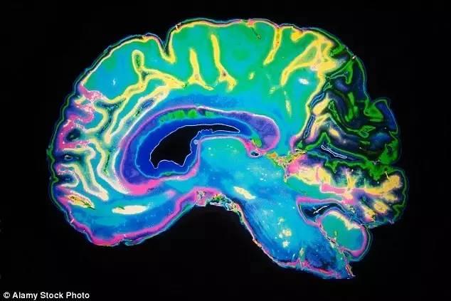 不仅仅是同性恋治疗：科学史上最诡异的实验