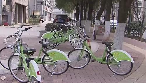 绿色的共享单车怎么用(绿色的共享单车app)