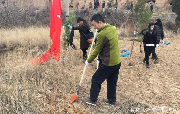 澄城县王庄镇积极开展义务植树活动