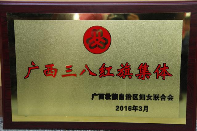 铁山港法院喜获广西“三八”红旗集体