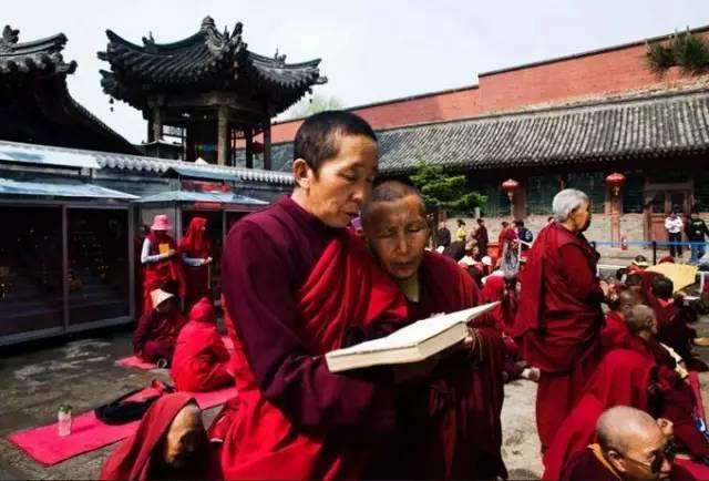 南怀瑾：不要把自己搞得一身佛气
