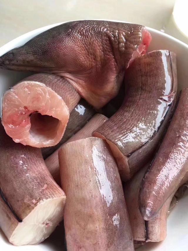 土龙多少钱土龙多少钱一斤