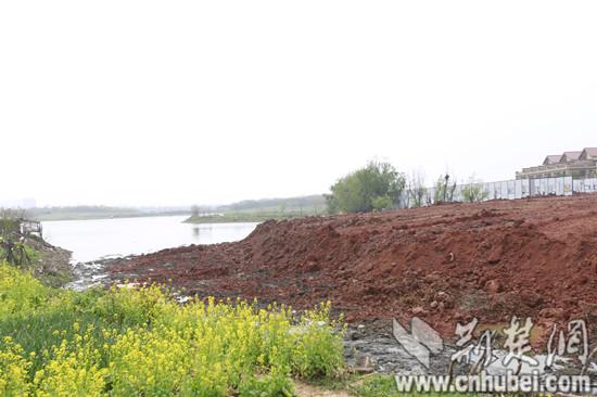 武汉一房地产项目被指填湖造房 官方回应：不属于湖泊
