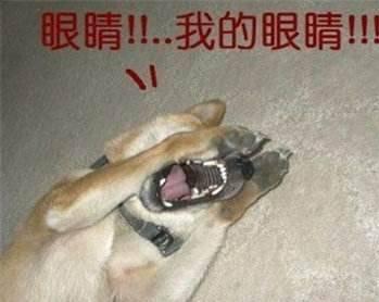 豆瓣9.3,这部奇番让你看尽人间荒诞!