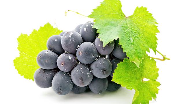 葡萄是寒性食物吗