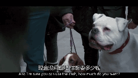 豆瓣8.1分治愈系电影,一只看到就会让人上瘾的猫!