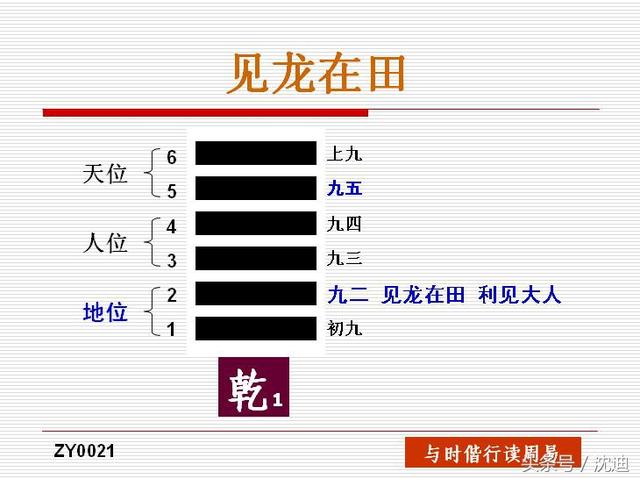 见龙在田是什么意思(潜龙在渊 见龙在田)