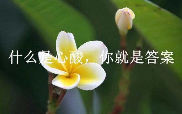 心酸是什么意思(男人说心酸是什么意思)