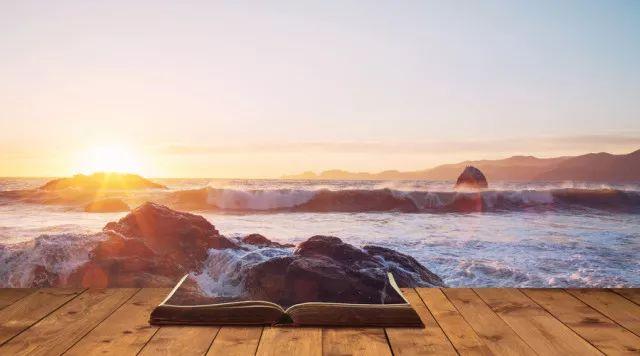 叔本华丨只有知道了书的结尾，才会明白书的开头