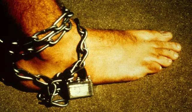 为了90美元，他们在实验里成为真实的恶魔与羔羊，仅6天就已失控