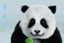 大熊猫为什么是黑白的？