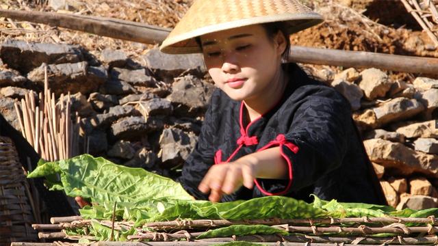 (3)〈方〉:置之不理,慢待.(2)暴晒;晒干.(1)晒俗作晒.形声.左形,右声.