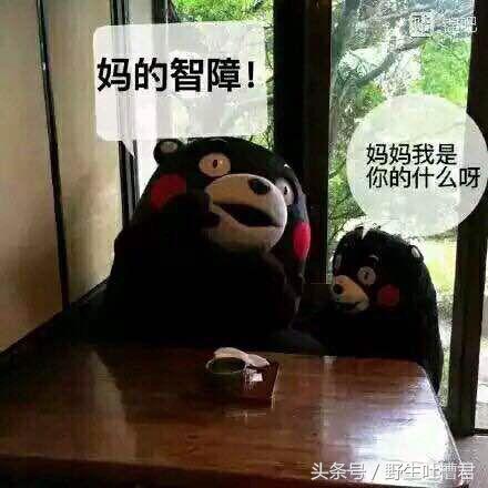 2017年五十条自带喜感的新闻 网友:感觉比段子还像段子