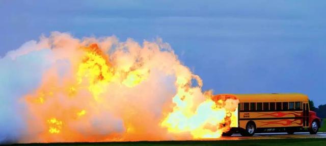 那些全球令人瞠目的奇闻异事 整个人都被吓傻了