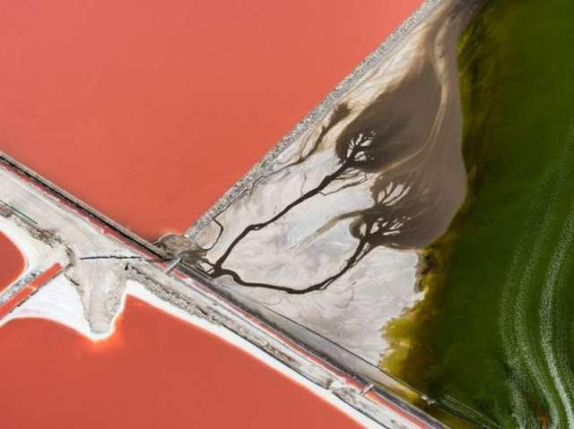 19张不可思议的照片，竟然没有PS过！