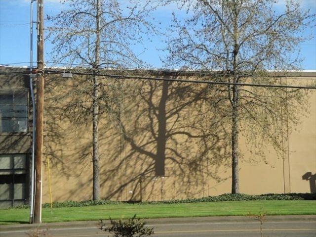 一组让你怀疑世界的照片，绝对没有PS!