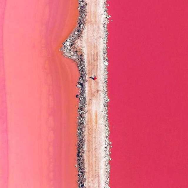 19张不可思议的照片，竟然没有PS过！