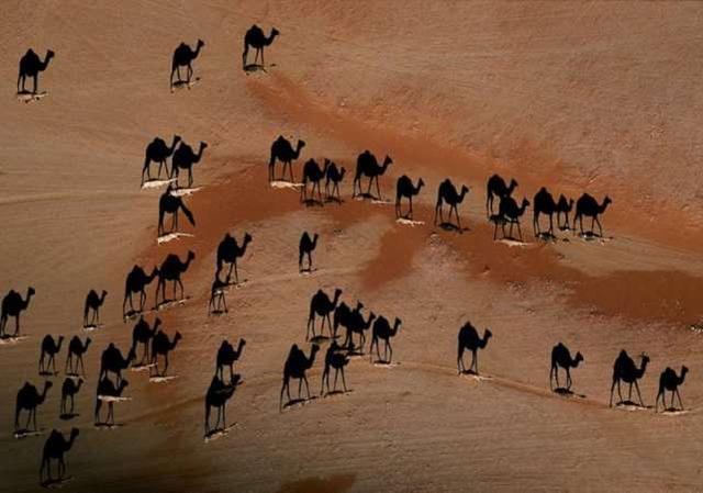 19张不可思议的照片，竟然没有PS过！