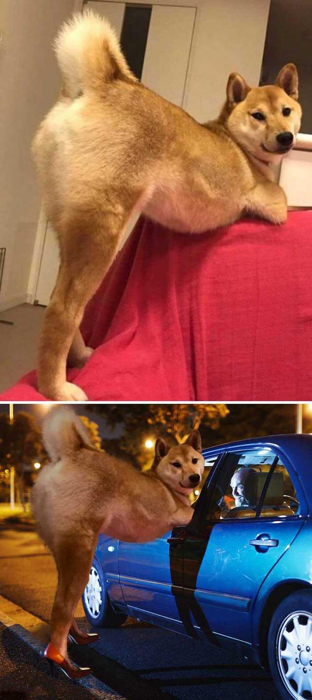 PS大神们的脑洞作品，太有才了！