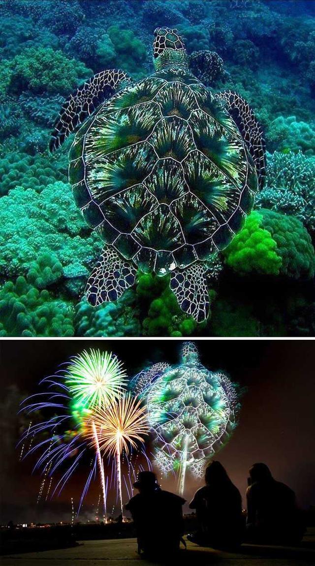 PS大神们的脑洞作品，太有才了！