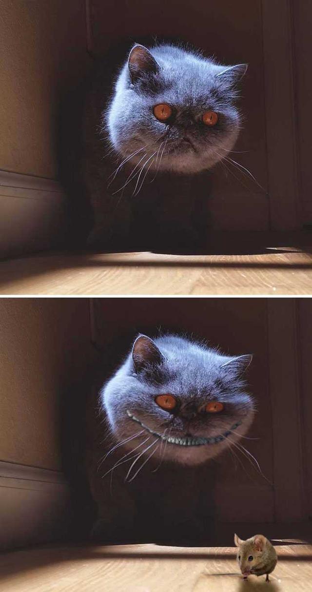 PS大神们的脑洞作品，太有才了！