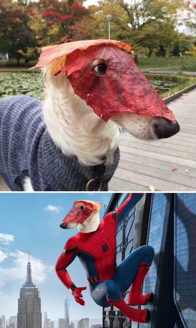 PS大神们的脑洞作品，太有才了！