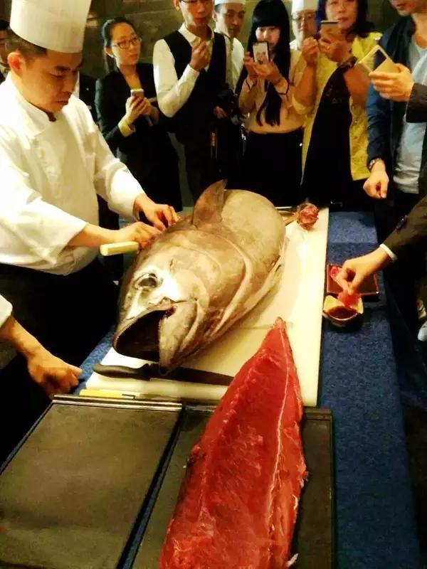 银川一家酒店惊现120斤的金枪鱼,看见的人都拍照