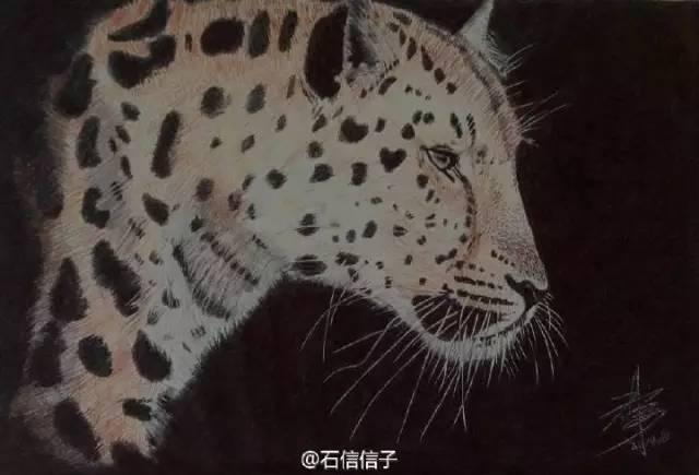 郑州一名大四学生用圆珠笔画了组照片，一不小心红遍朋友圈！